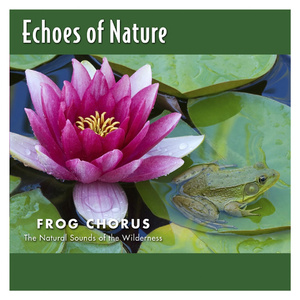 操爽了的动漫美女
